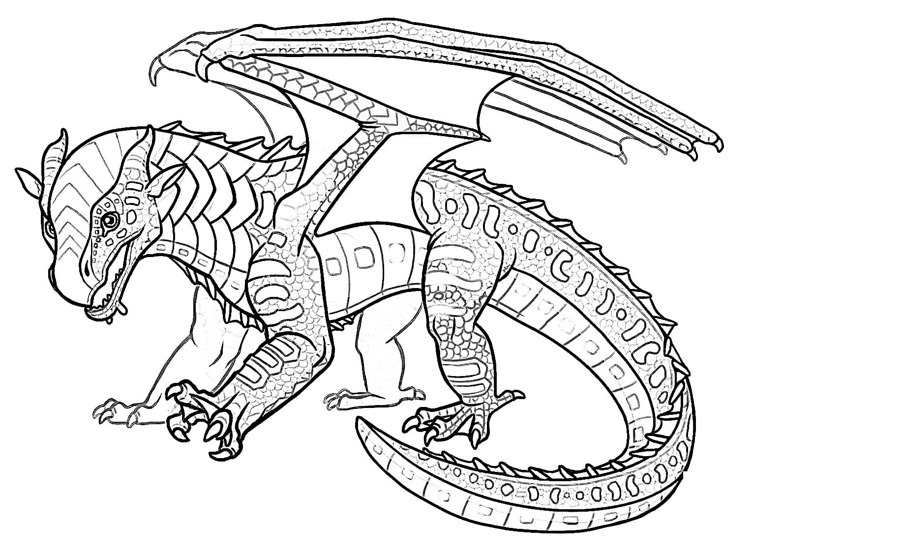 Wings of fire coloring pages