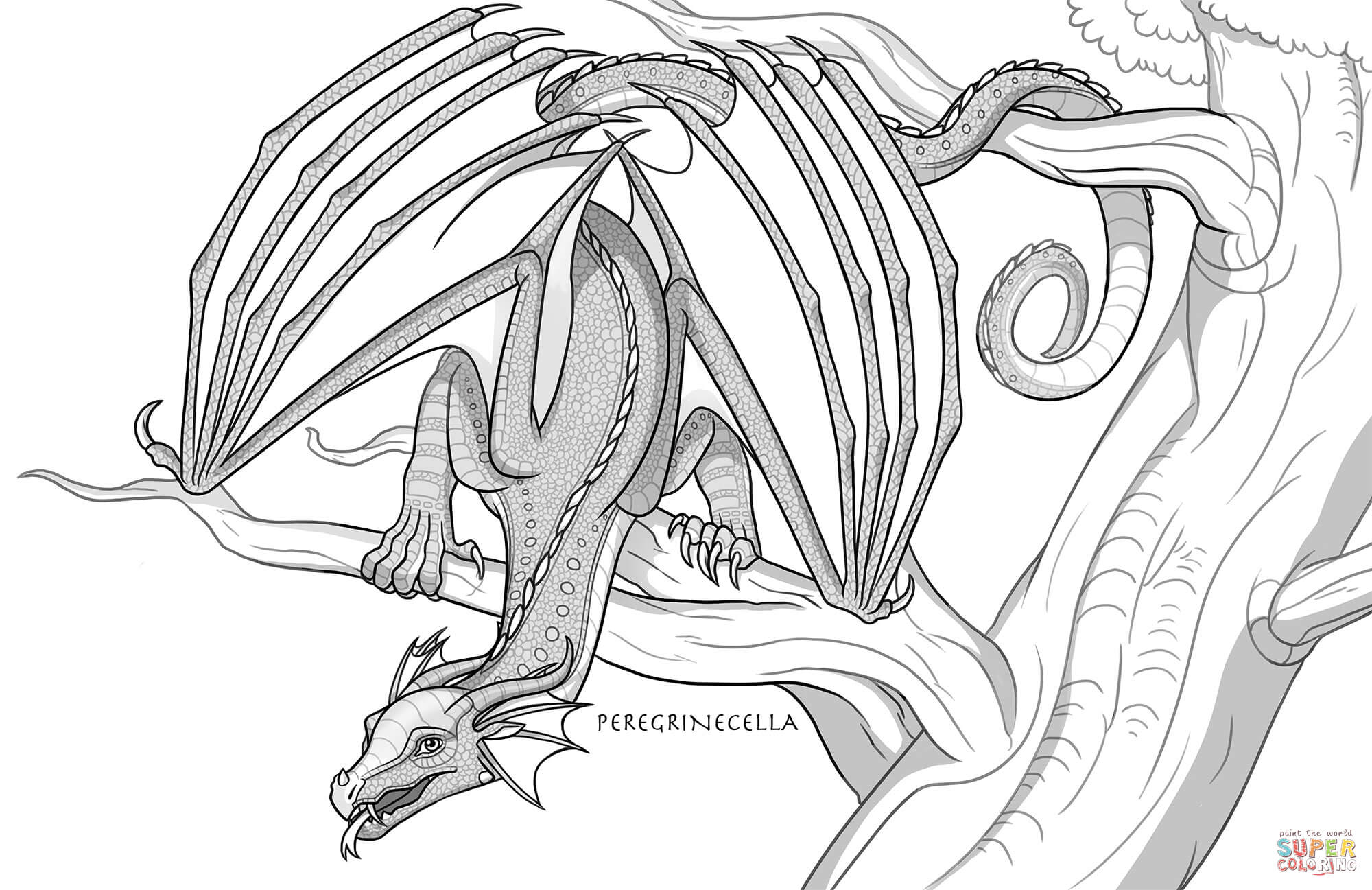 Rainwing dragon coloring page free printable coloring pages