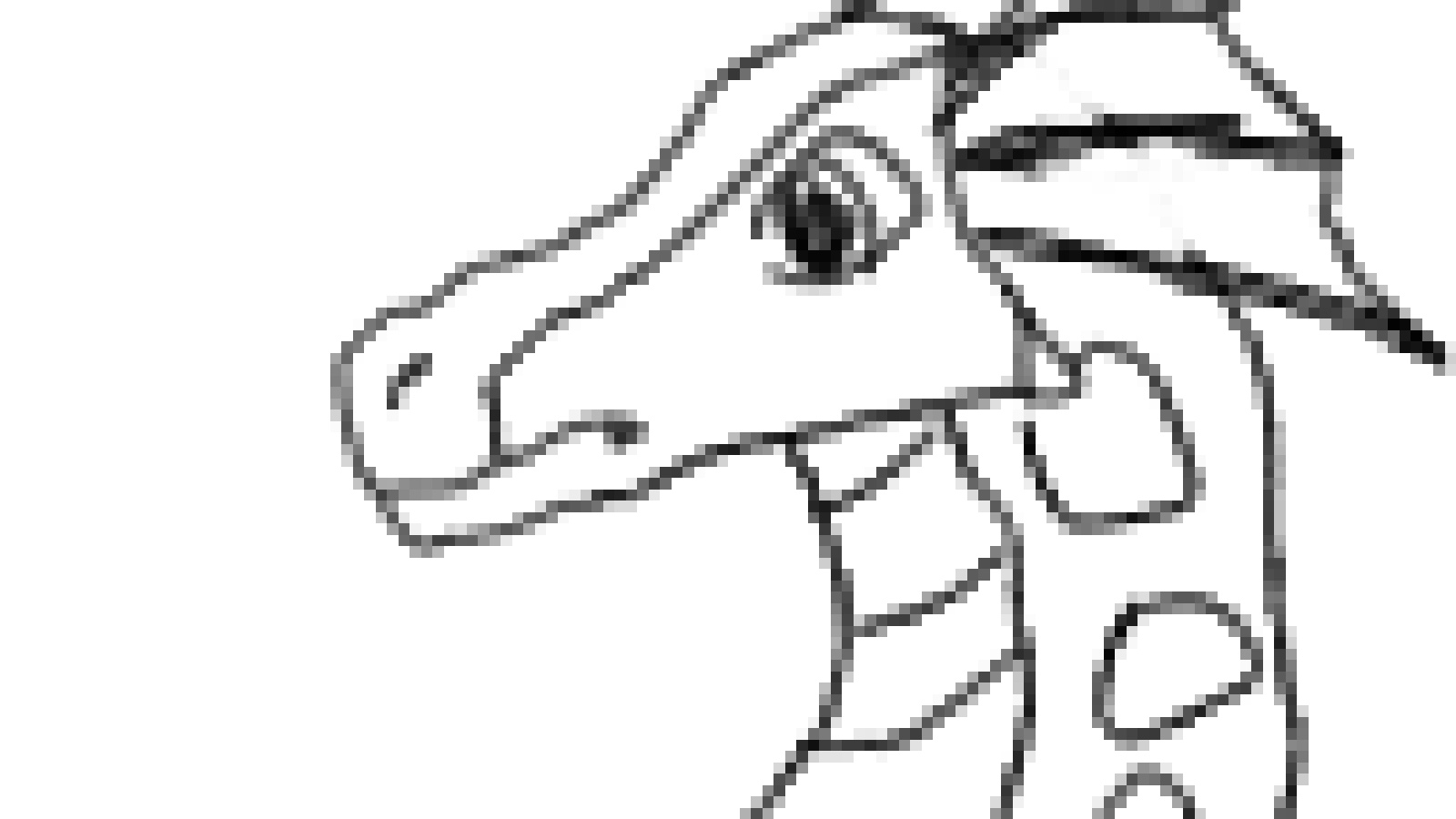 Rainwing from wings of fire drawings