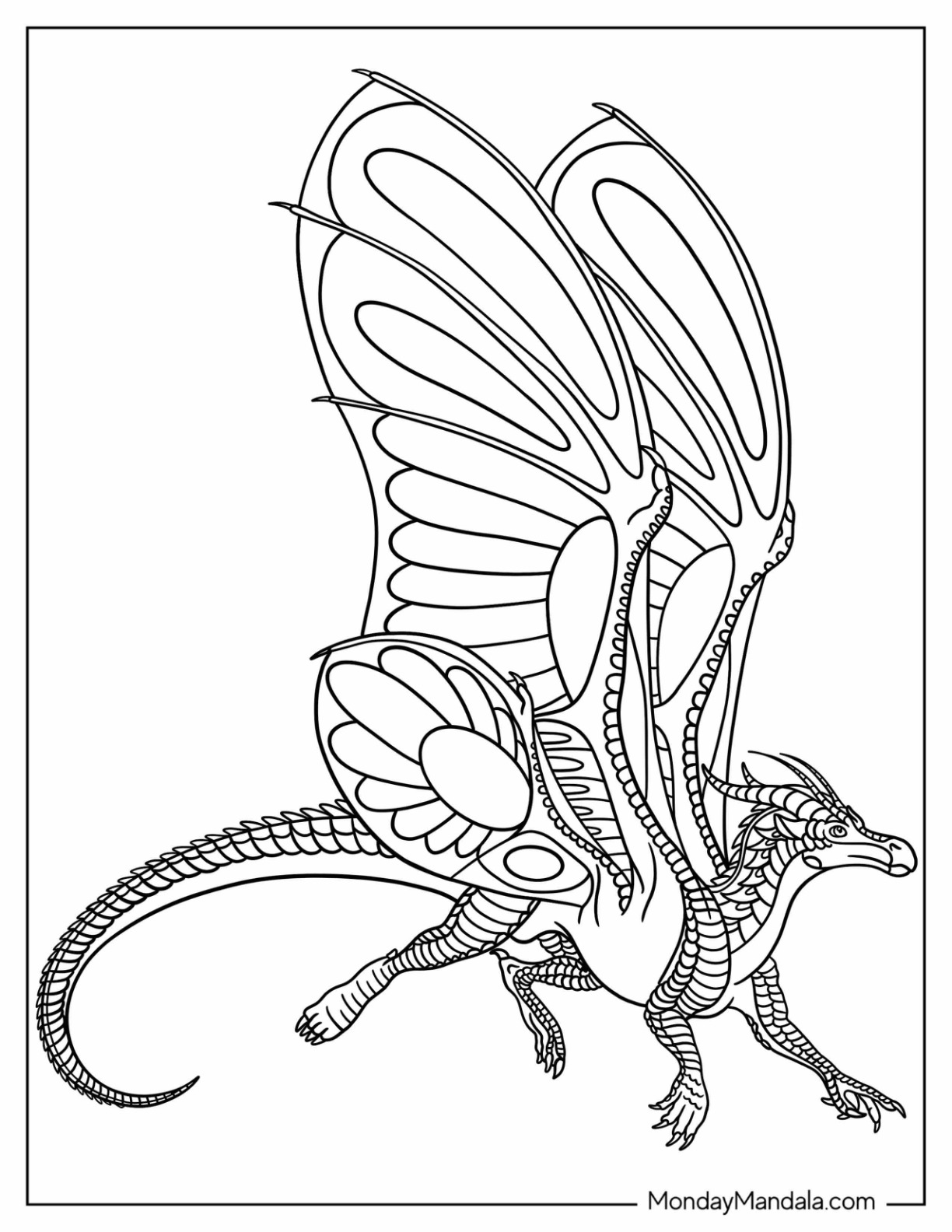 Wings of fire coloring pages free pdf printables