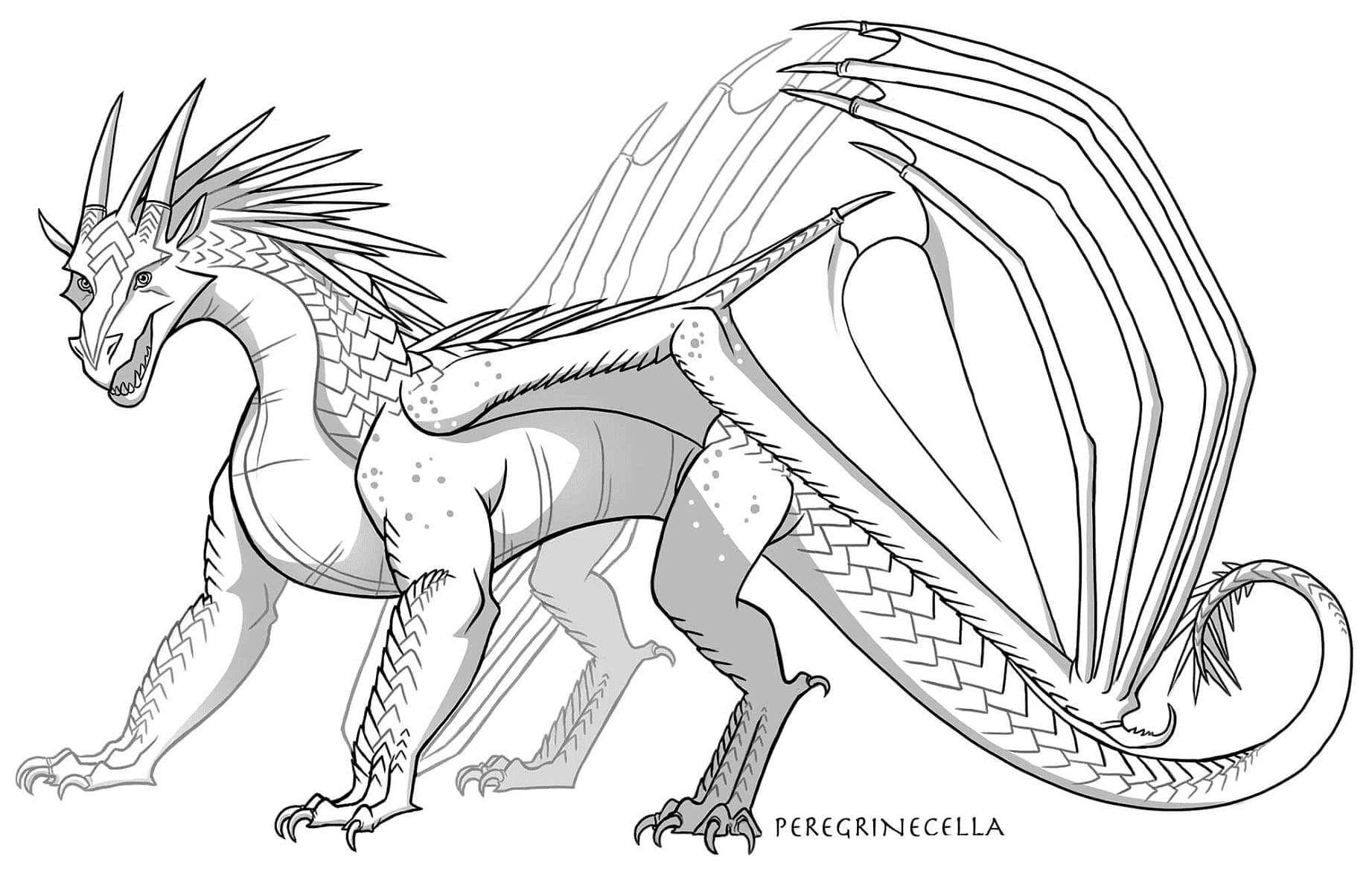 Wings of fire coloring pages