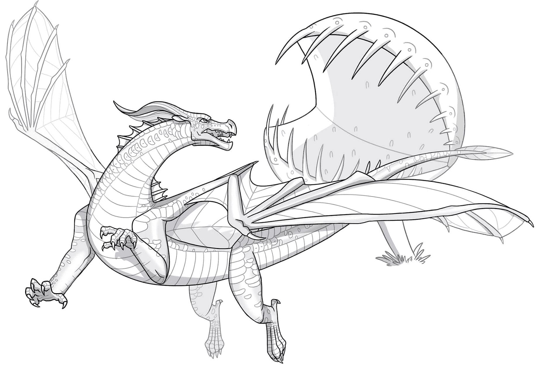 Wings of fire coloring pages