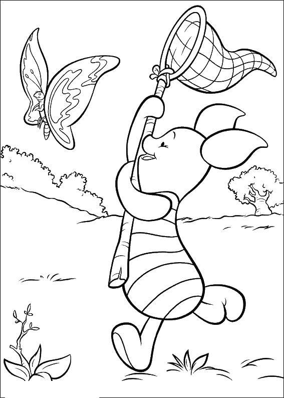 Online coloring pages butterfly coloring page piglet catches a butterfly cartoon character