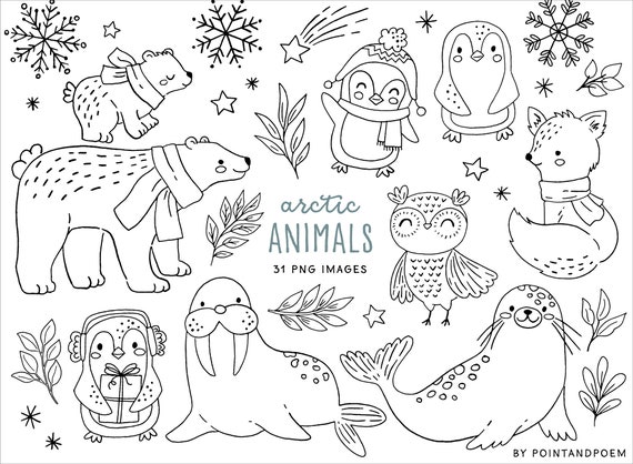 Cute arctic animals digital stamps cute winter animals clipart coloring winter doodles christmas doodle clipart png images