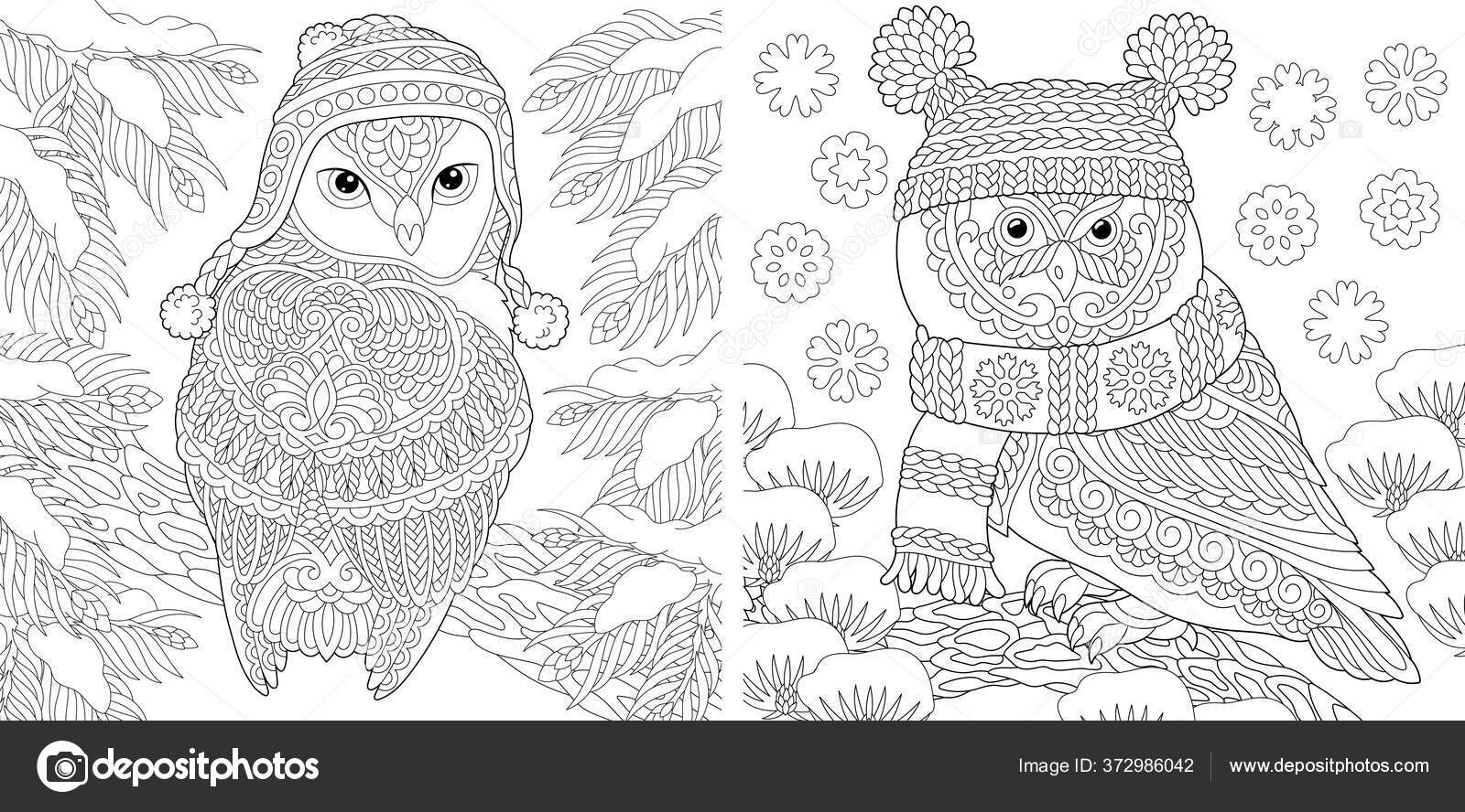 Animal coloring pages cute owls winter hats line art design stock vector by sybirko