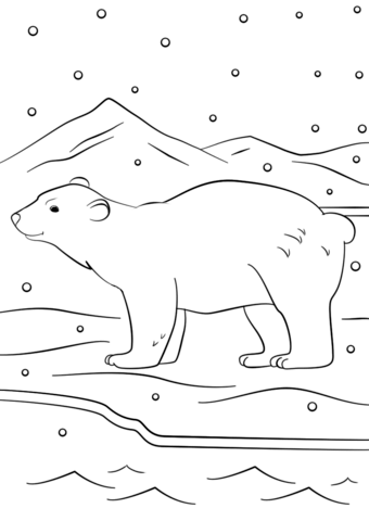 Winter bear coloring page free printable coloring pages