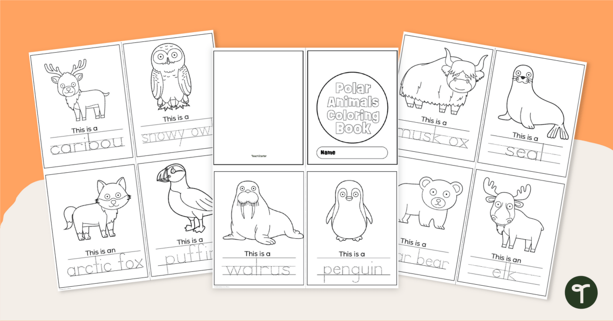 Winter animals coloring page booklet teach starter