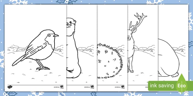 Winter animals louring pages teacher made