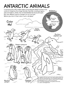 Winter animal coloring and activity pages bundle by sara cramb tpt