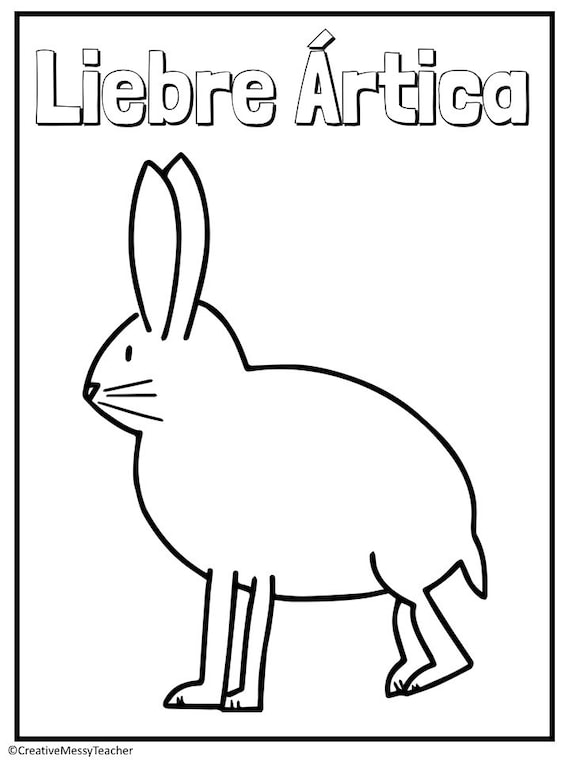 Arctic animals spanish coloring pages winter animals coloring pages spanish printables spanish vocabulary preschool printables learning