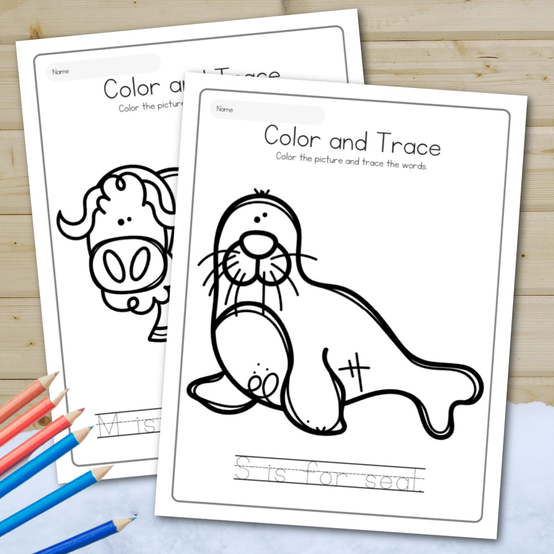 Color and trace winter animals worksheets