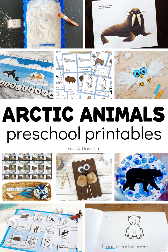 Free arctic animals preschool printables