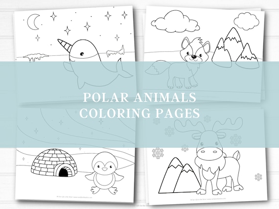 Polar animals coloring pages activities for kids toddlers preschool kindergarten first grade homeschool printable activities winter