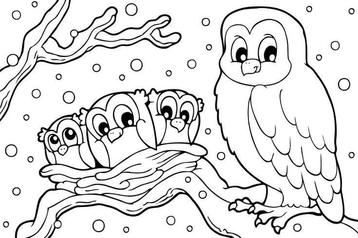 Winter coloring pages snowy owl owl coloring pages bird coloring pages valentine coloring pages