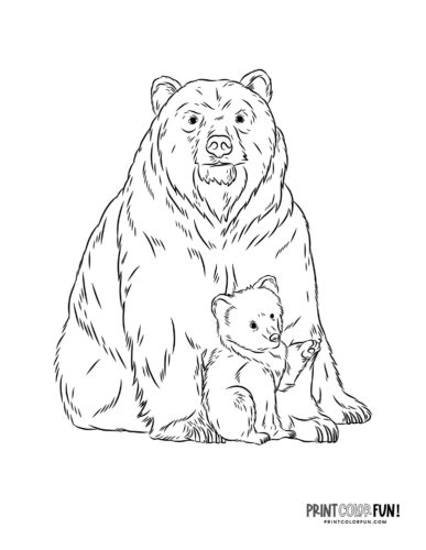 Explore the wild with bear clipart coloring plus engaging activities for kids at