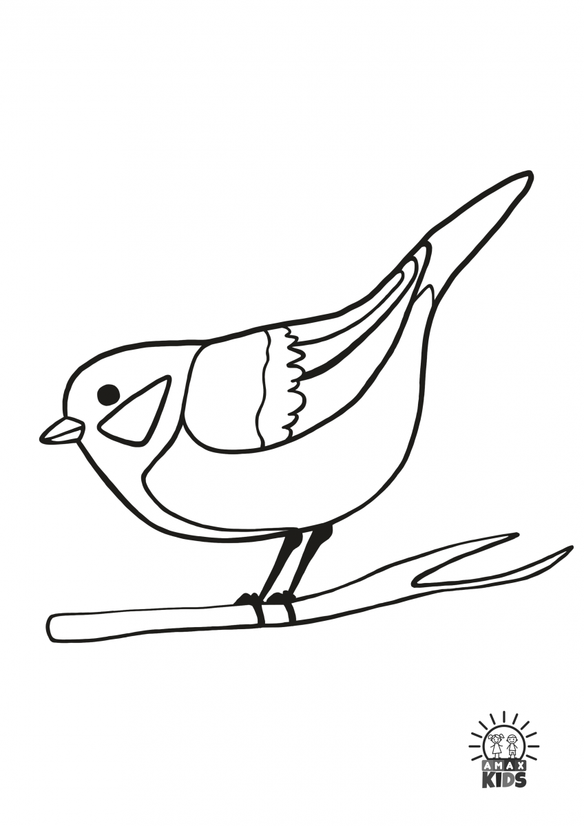 Winter coloring pages for kids with birds amax kids