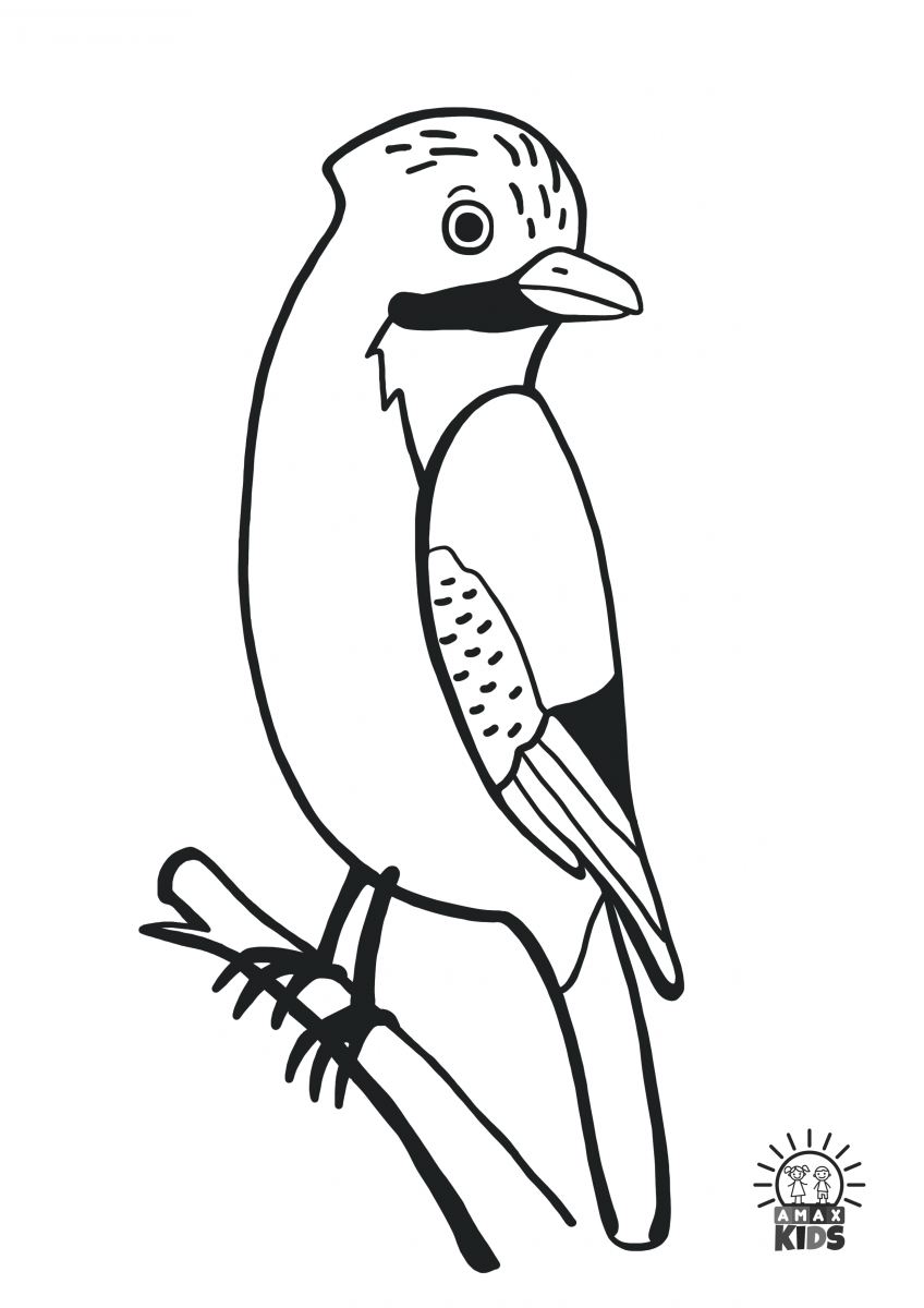 Winter coloring pages for kids with birds amax kids