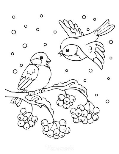 Free printable winter coloring pages for kids adults bird coloring pages coloring pages winter christmas coloring pages