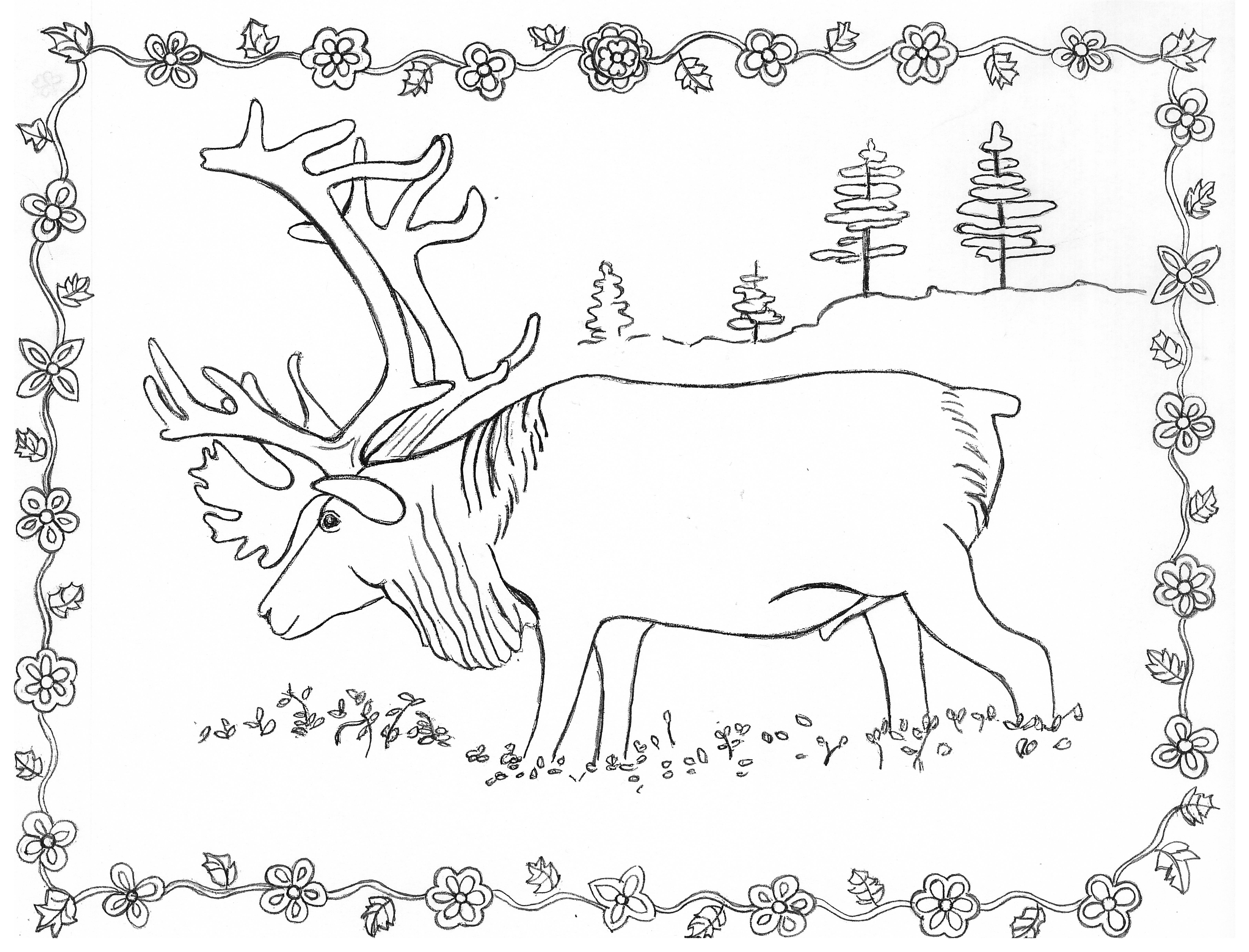 Coloring pages