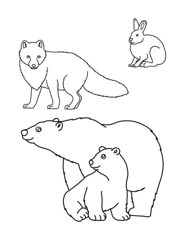 Three animals living in the arctic coloring page