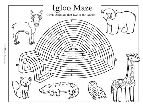 Winter mazes