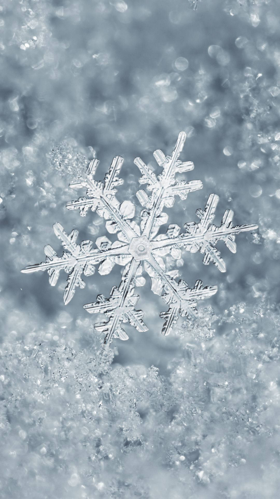 Download awesome winter snowflake wallpaper