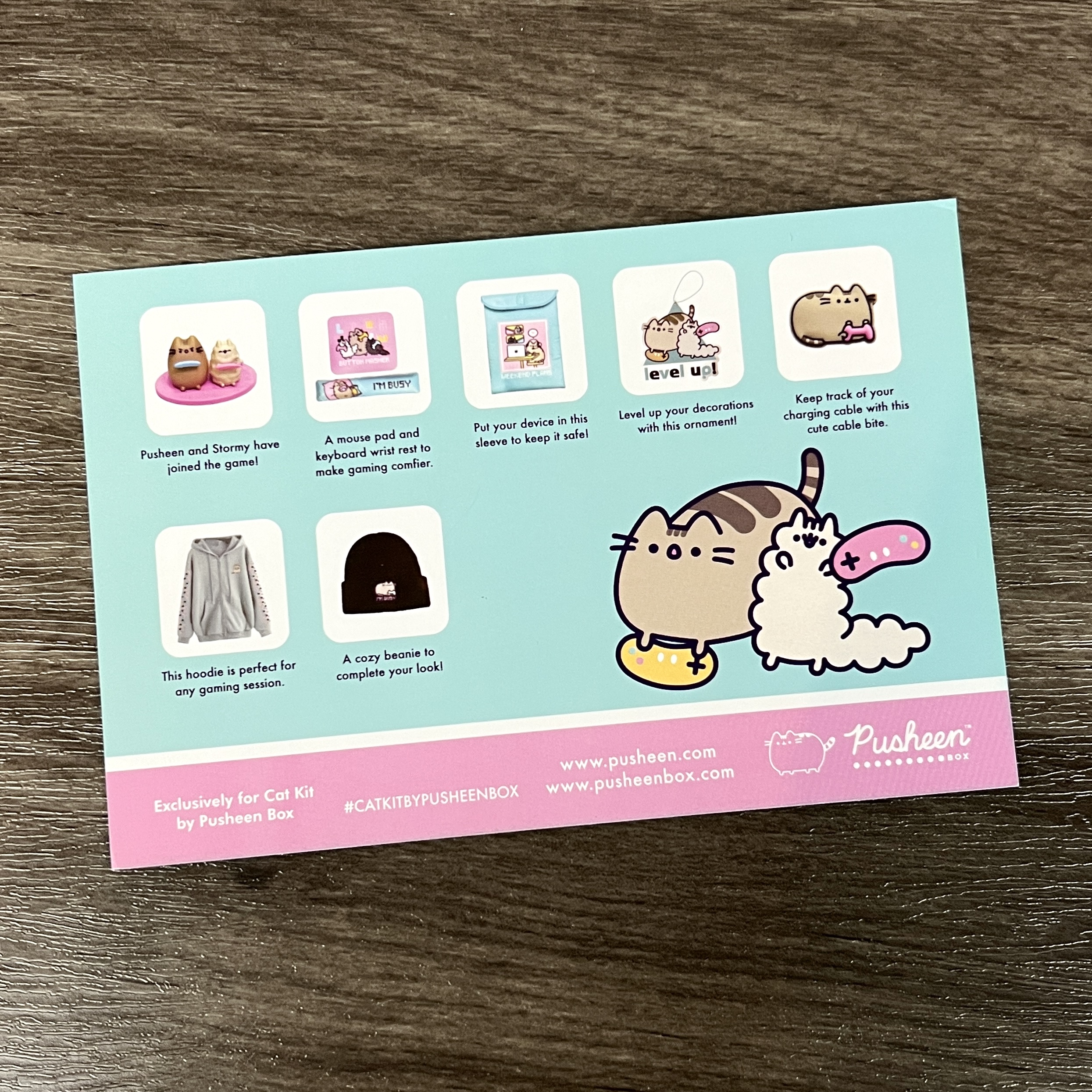 Pusheen box review â winter msa