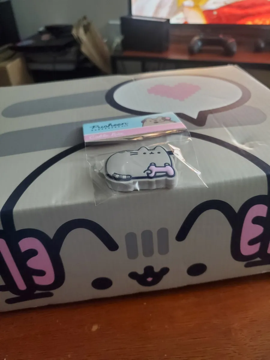 Pusheen box subscription winter exclusive gamer cable bite new