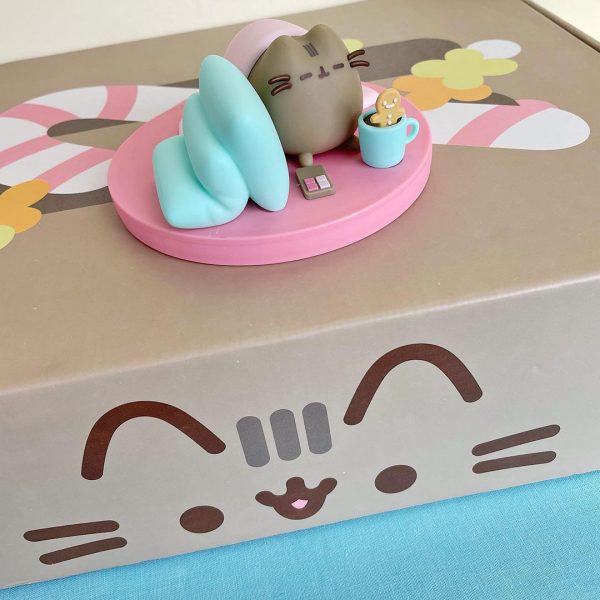 Winter pusheen box review