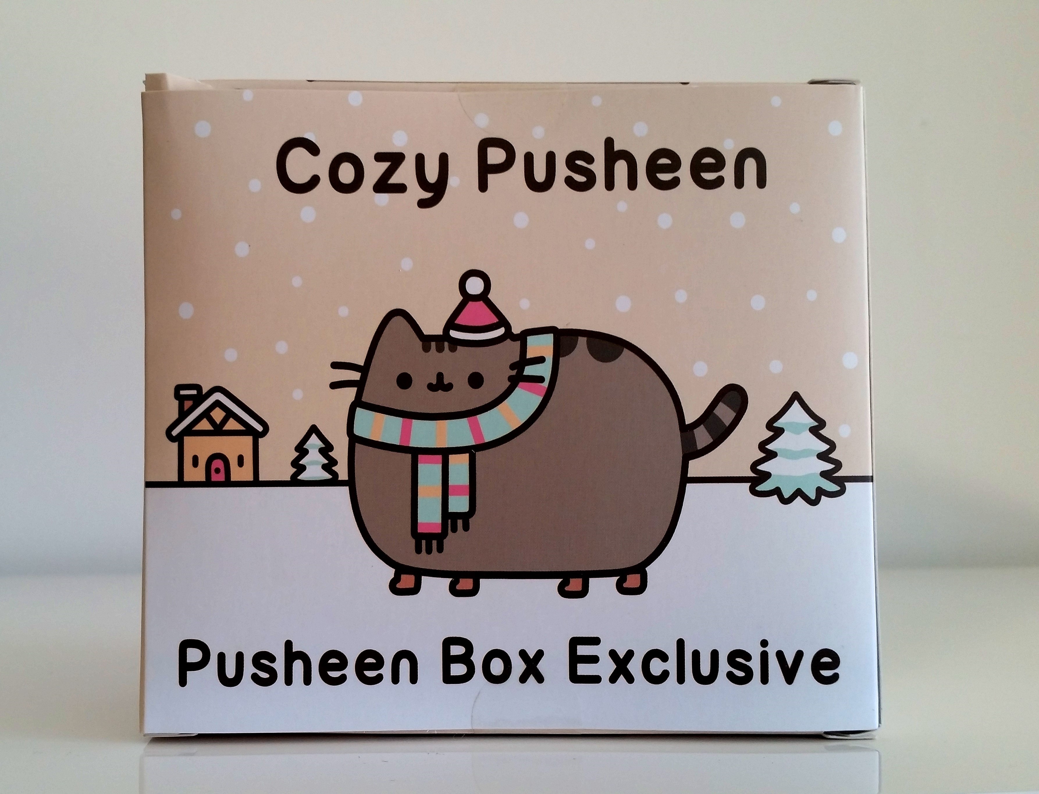 Pusheen box â winter