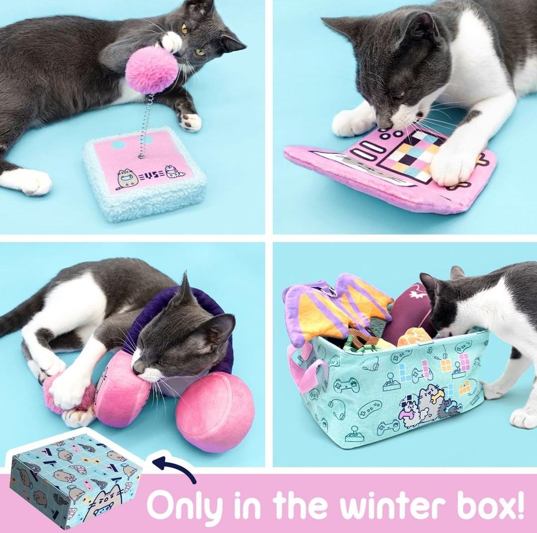 Winter cat box spoilers ive gotta say its really freaking cute and im considering it even without a cat rpusheen