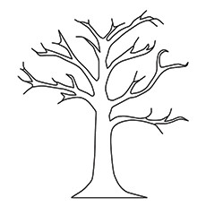 Top tree coloring pages for your little ones