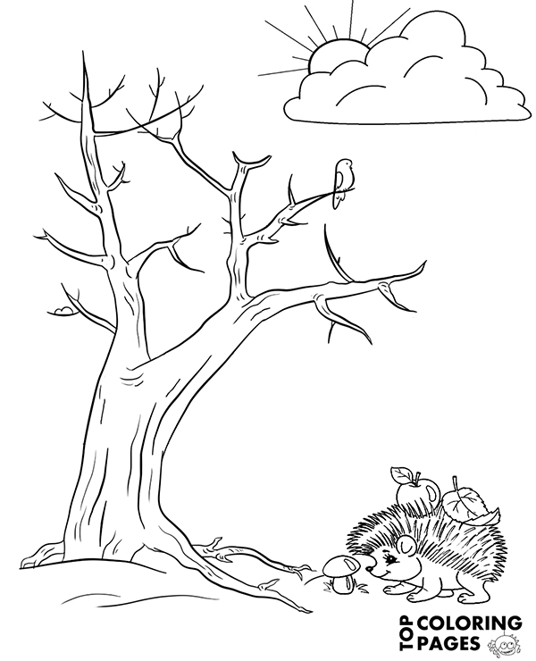 Coloring page with hedgehog and a tree