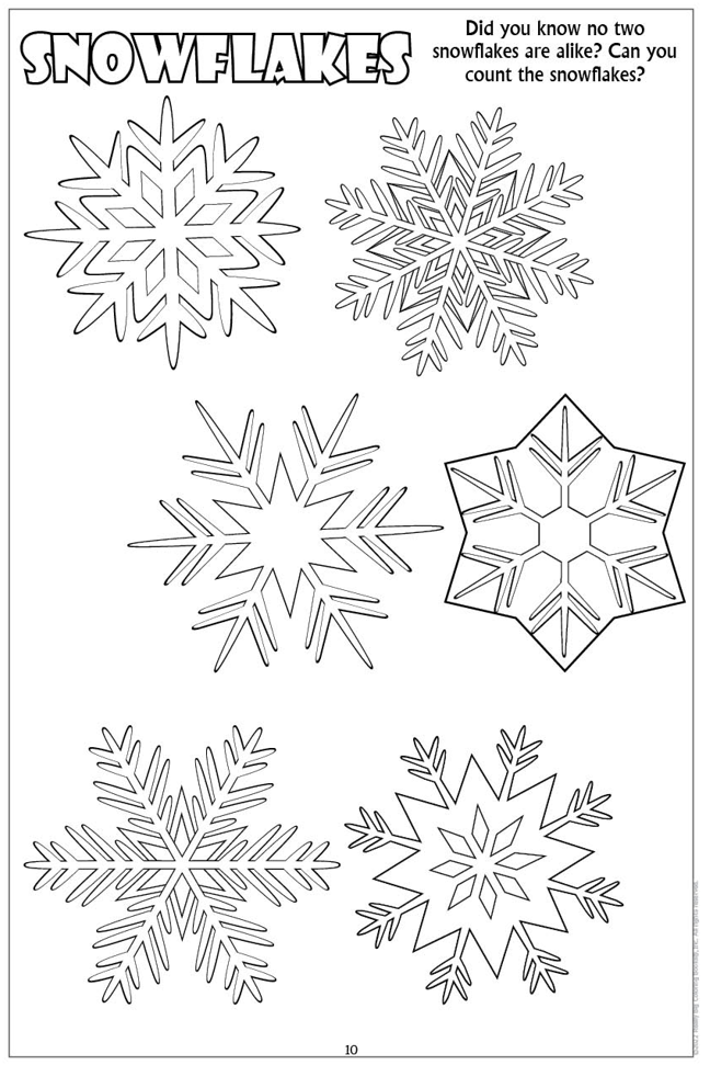 Winter wonderland coloring book x