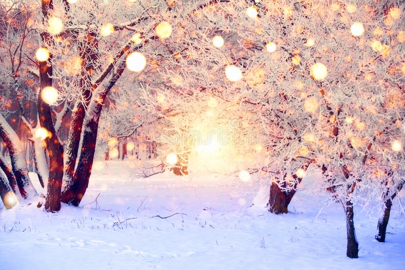 Winter forest with colorful snowflakes snow covered trees with christmas lights christmas wonderland background stock image