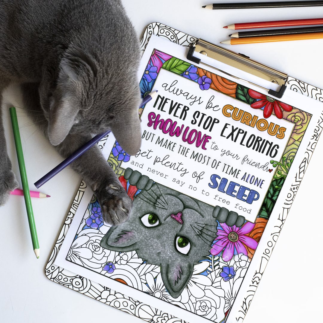 Cat wisdom coloring page