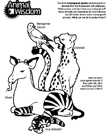 Animal wisdom coloring page