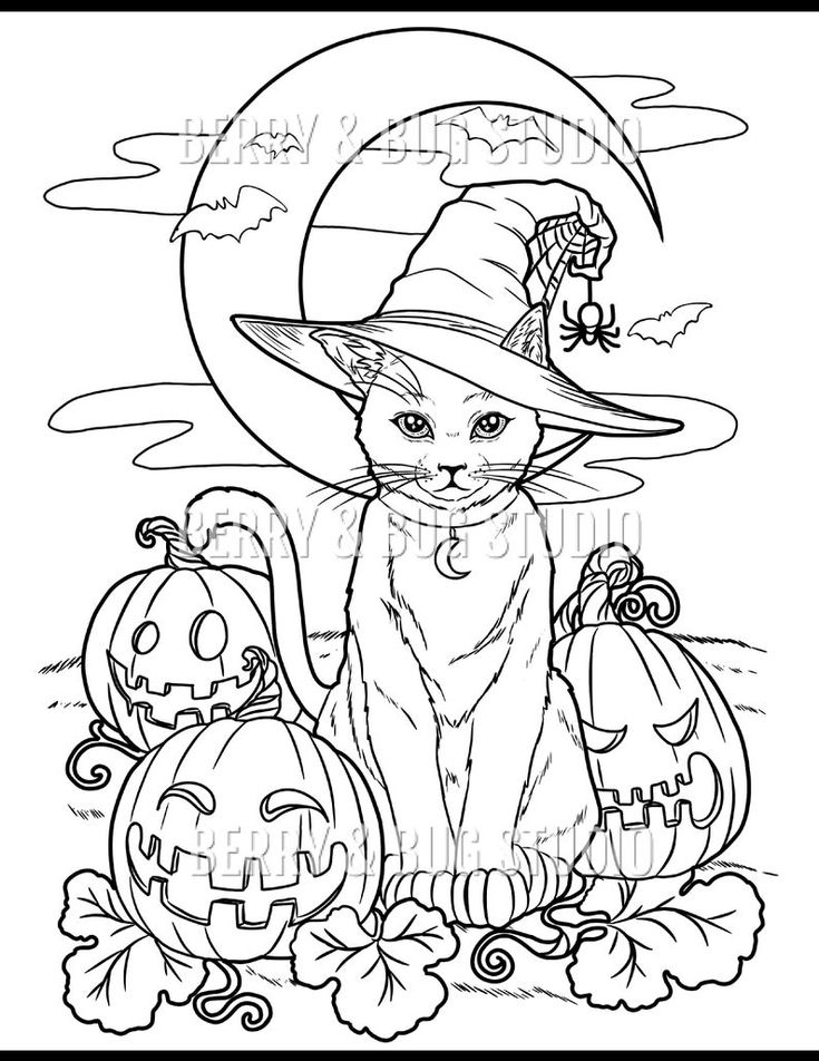 Adult coloring page halloween coloring page illustration coloring for adults printable art instant download cat witch coloring page