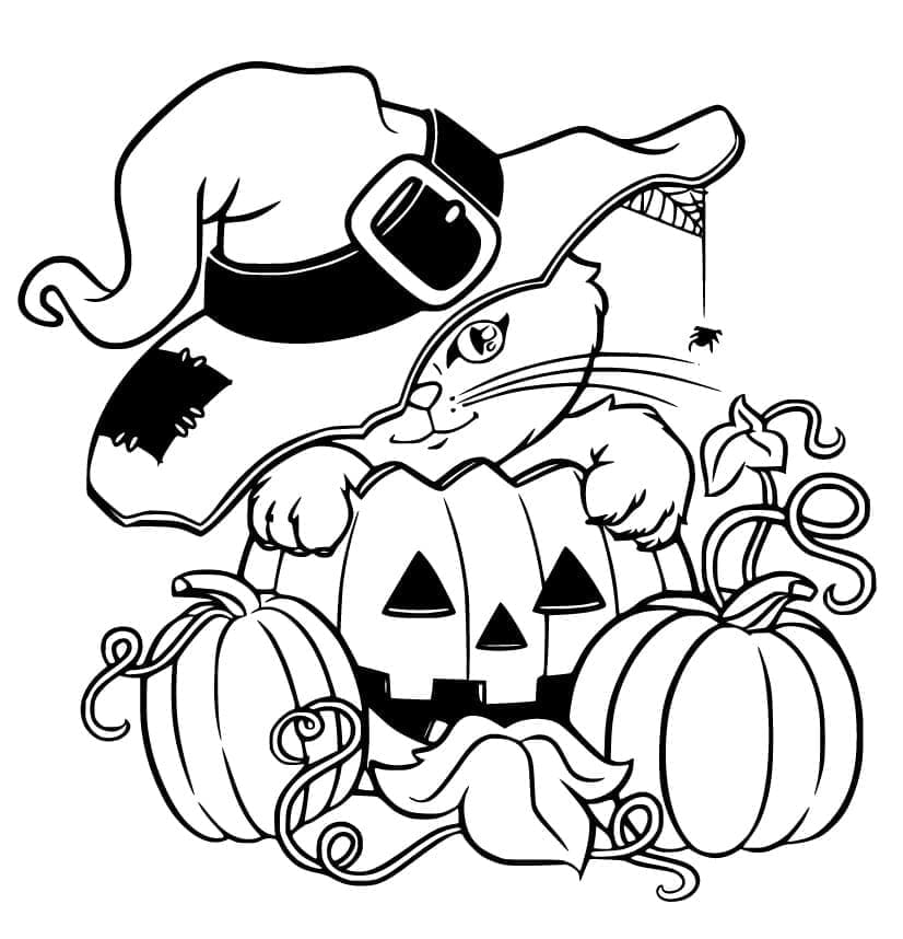 Halloween cat and witch hat coloring page