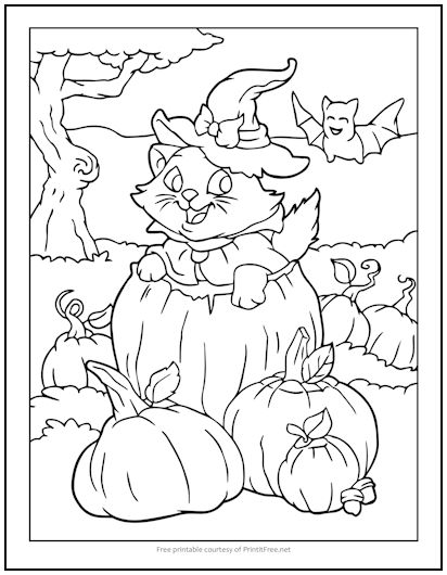Pumpkin patch cat halloween coloring page print it free