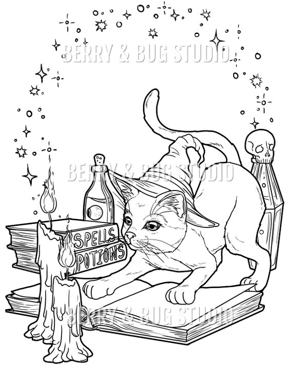 Adult coloring page witch cat coloring book illustration coloring for adults printable art instant download halloween coloring instant download