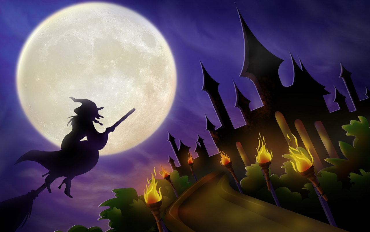 Download Free 100 + witch on broom wallpaper