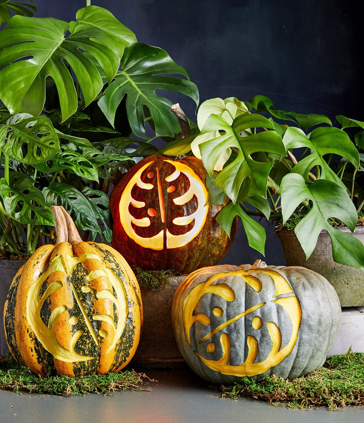 Free pumpkin carving stencils to personalize your porch decor