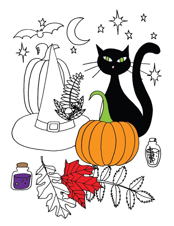 Printable halloween coloring page cat pumpkin and witch coloring page pdf file