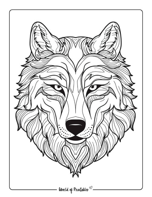 Wolf coloring pages for kids adults