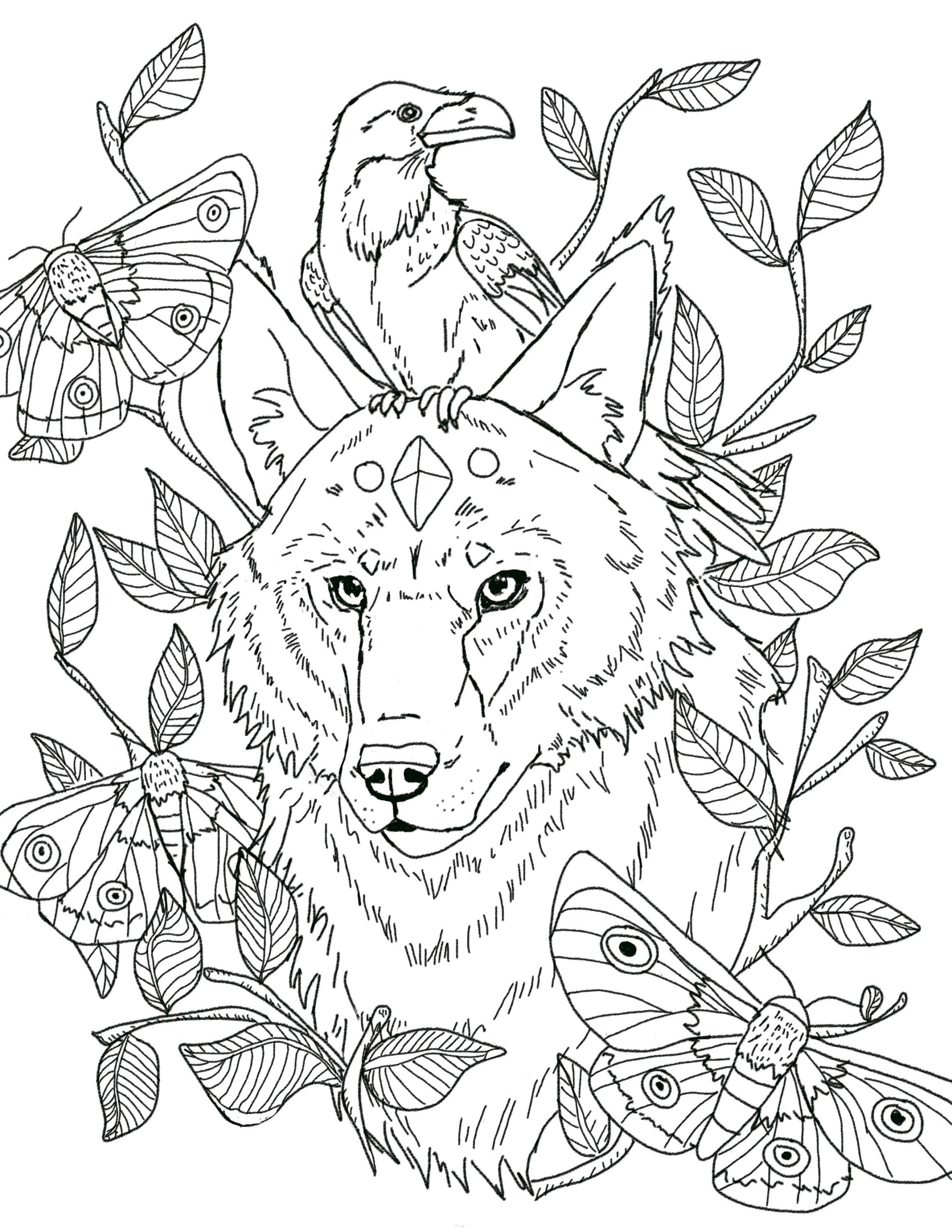 Wolf and raven downloadable coloring page