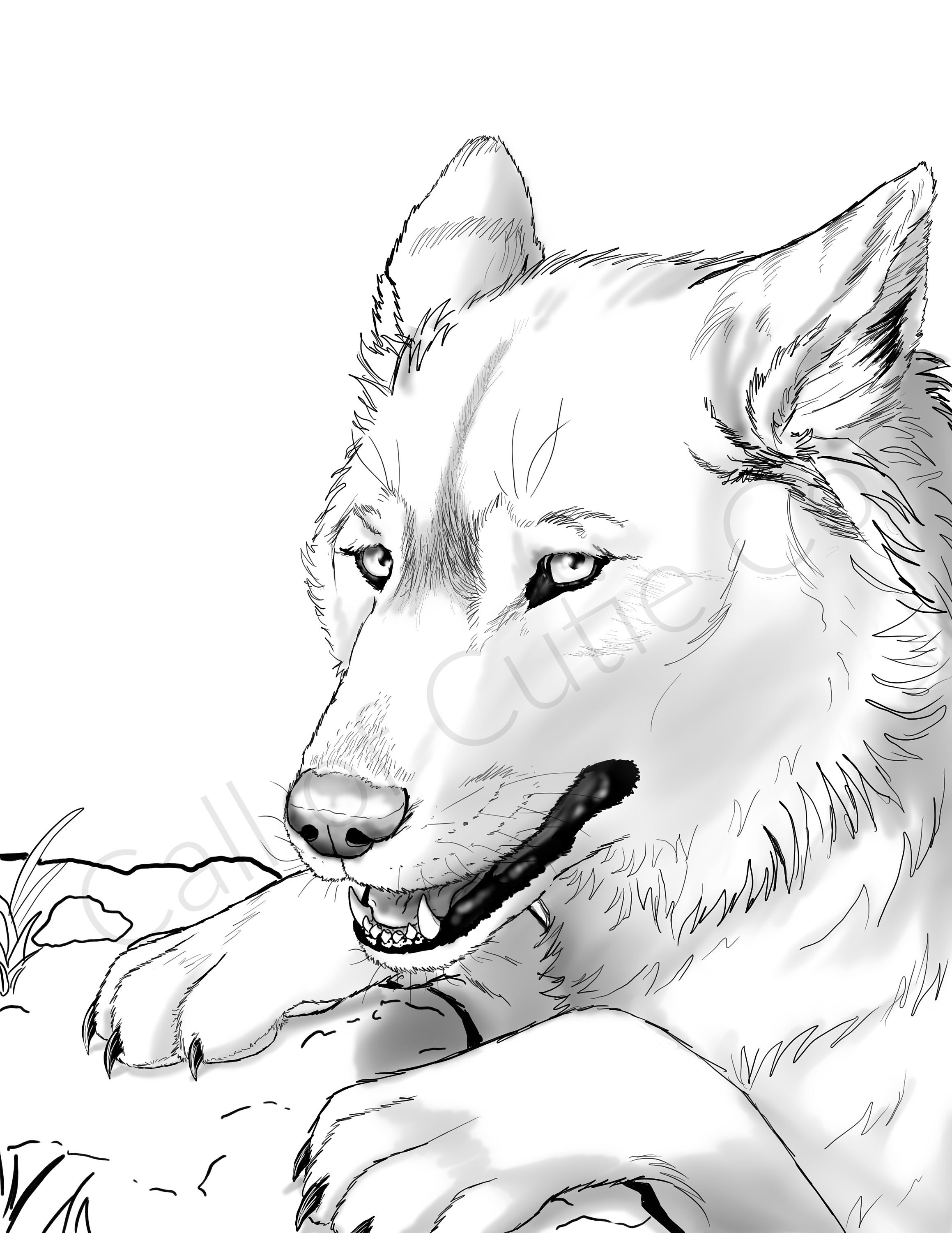 Gray wolf color pagedigital wolf coloring pagesanimal coloring pages