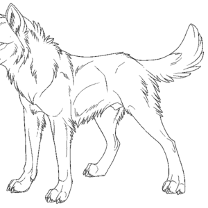 Wolf coloring pages printable for free download