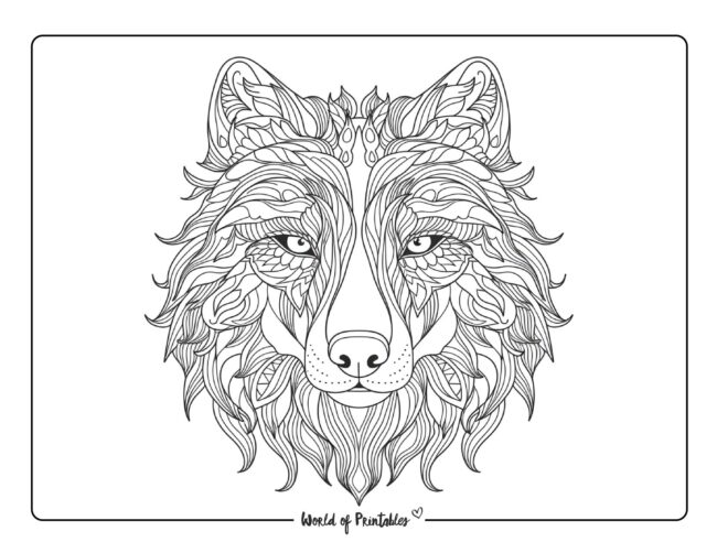 Wolf coloring pages for kids adults