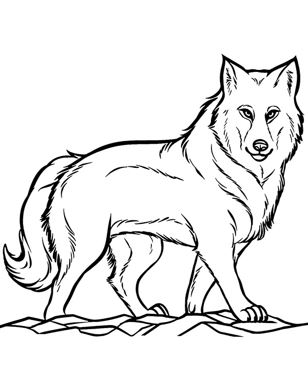 Printable wolf coloring page